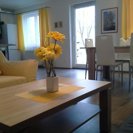 Rodinny Apartman Lucie V Blizkosti Wellness Hotelu Ve Frymburku Exterior foto